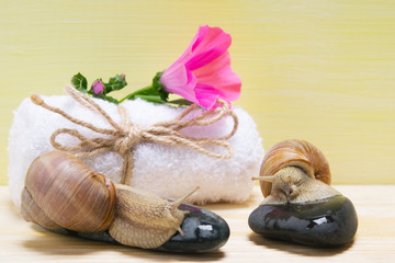 white towel and pink flower on it, next to large snails, background nature