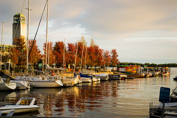 Fototapeta na wymiar Toronto's harbour front in fall
