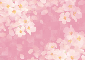 和柄日本 チェック 桜