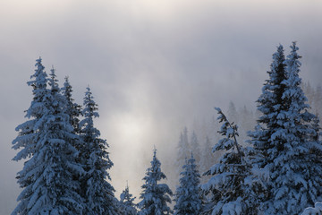 The tops of the mountains above the clouds