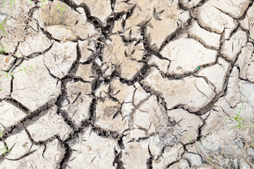 Crack soil on dry season , global warming effect