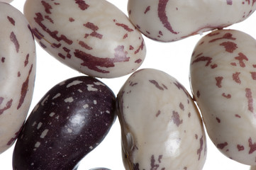 Greek traditional beans barbounia white