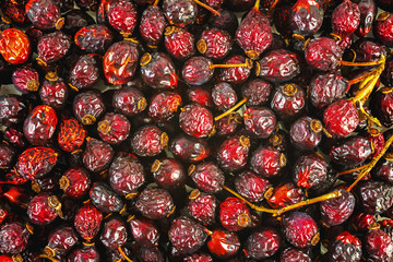 Dried red hips, natural background