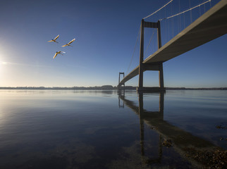 Sky blue Danish suspension bridge
