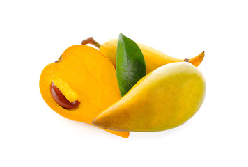 pouteria campechiana (kunth) baehni on white background