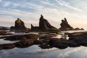 Rocky Shore at Shi Shi Beach in Neah Bay, Washington, United States of America.