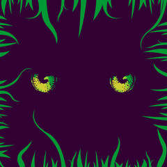 Cats Yellow Eyes and Grass
