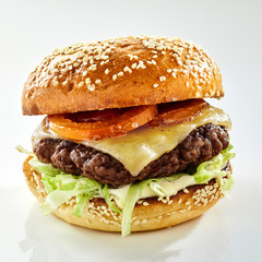 Close-up of a hamburger against white background