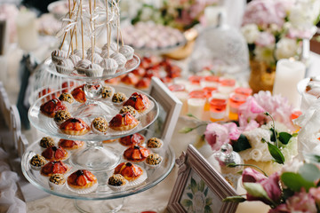 Closeup shot of a wedding candy bar decoration elements