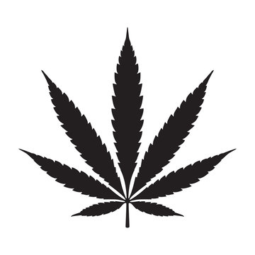 Weed Marijuana cannabis leaf vector illustration icon logo