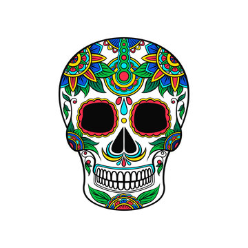 Mexican sugar skull with colorful floral pattern, Day of the death vector Illustration