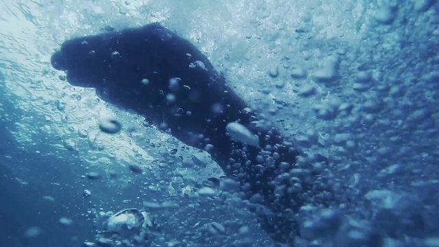 Male hand in water, underwater close up