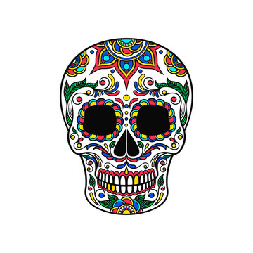 Mexican sugar skull with colorful floral ornament, Dia de Muertos vector Illustration