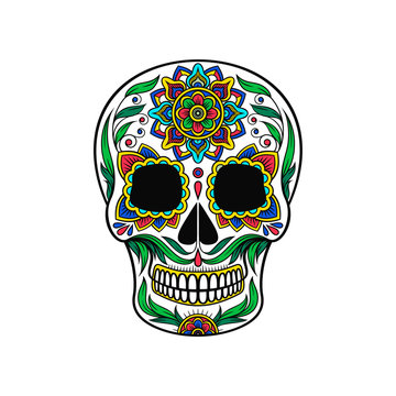 Mexican sugar skull with colorful floral pattern, Dia de Muertos vector Illustration