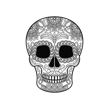 Day of The Dead Skull, sugar skull with floral ornament black and white vector Illustration