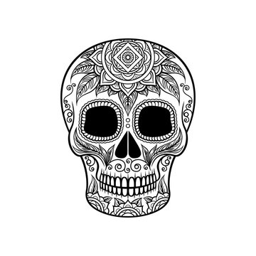 Sugar skull with floral ornament, Dia de Muertos black and white vector Illustration