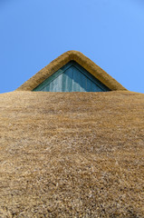 Braunes Hausdach aus Reet (Schilfrohr) mit Holz-Gaube vor blauem und wolkenlosem Himmel