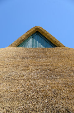 Braunes Hausdach aus Reet (Schilfrohr) mit Holz-Gaube vor blauem und wolkenlosem Himmel