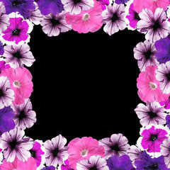 Beautiful floral background of pink and purple petunias 