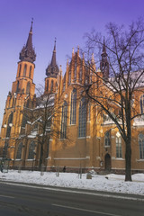 Poland, Radom, Cathedral, Winter