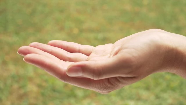 Chlorella capsules falling into a hand