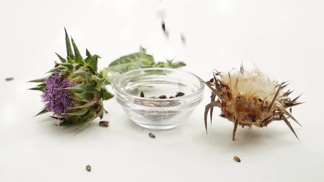 Milk Thistle Seeds falling to bowl