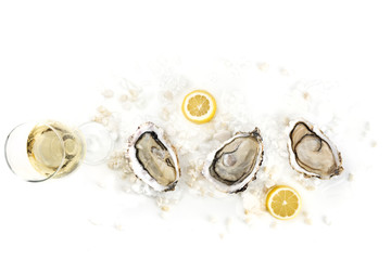 Overhead photo of three oysters with wine, lemon, and copy space