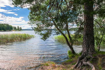 Summer landscape. Scenic view from the riparian forest to the lake Seliger, Tver region.