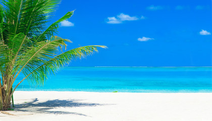Obraz na płótnie Canvas beach in Maldives