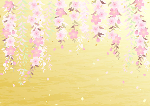 枝垂れ桜