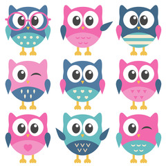 Set of colorful funny owls