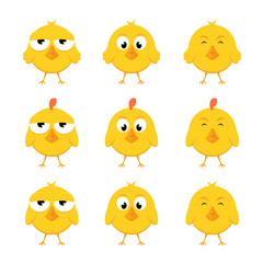 Set of yellow chicks