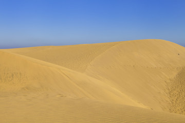 Sand dunes in desert