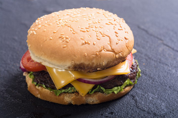Unhealthy American hamburger