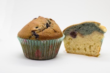 Muffin isolated