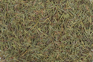 Pile of dry rosemary background and texture