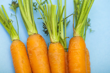 fresh organic carrots 