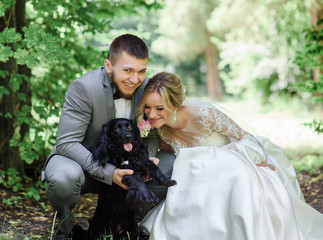 Bride and groom play with fluffy dogs standing in the forest