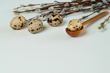 Quail eggs on white background. Easter, Spring holidays