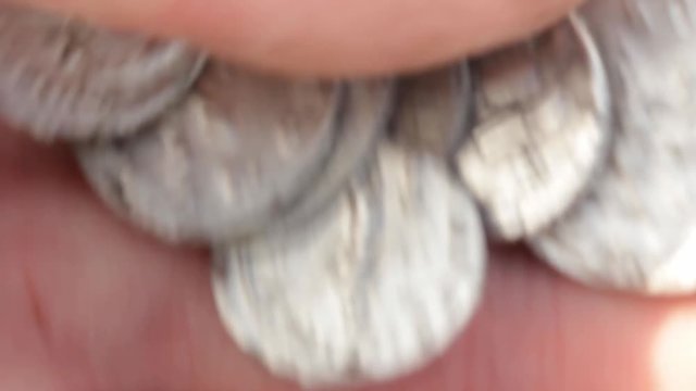 Roman silver coins, denarius