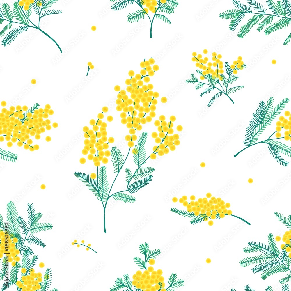 Poster botanical seamless pattern with yellow mimosa flowers and leaves on white background. backdrop with 