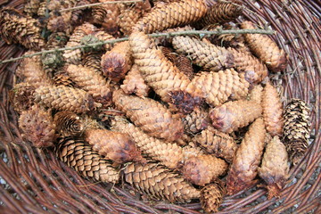 Big baskets full of cones