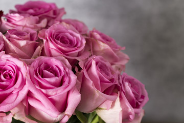 pink roses