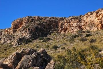 Vegetation in cliffs of the Alicante coast