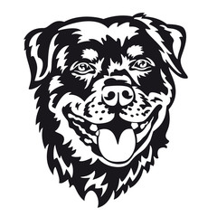 Rottweiler - Vector illustration of a purebred dog face