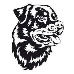 Rottweiler - Vector illustration of a purebred dog face