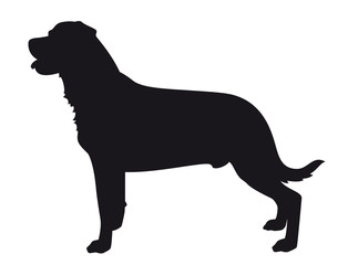 Rottweiler - Black Dog Vector Silhouette isolated on white