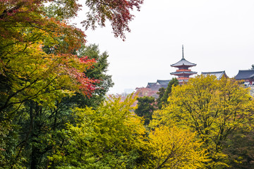 Red Autumn Japanese Garden, Kiyomizu Temple