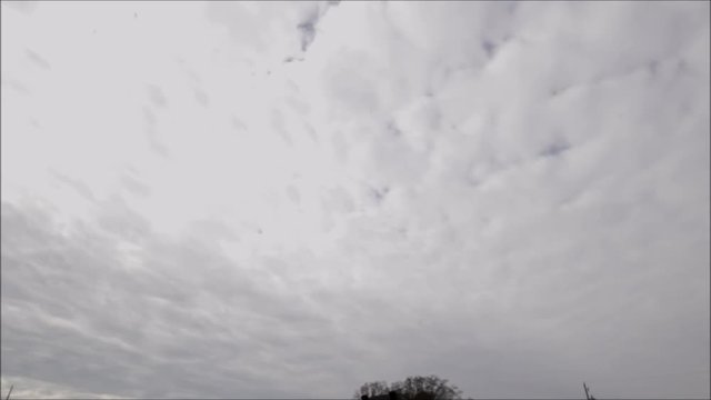 Time-Lapse of low level stratocumulus characterized rounded masses grouped in waves and a background that covers the entire sky
