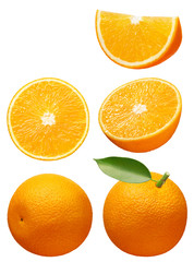Collection of whole and cut fresh orange fruits on white